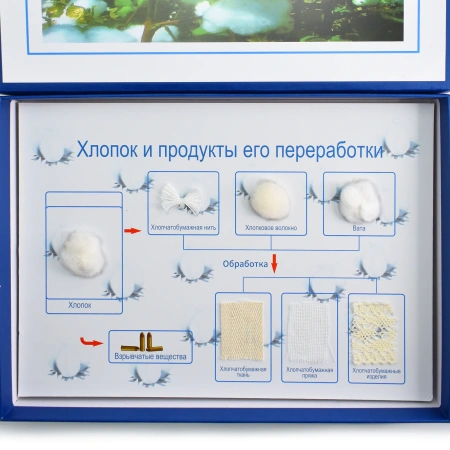 Коллекция демонстрационная «Хлопок и продукты его переработки»